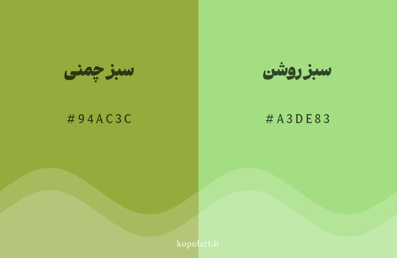 رنگ همسایه سبز چمنی با کد هگزادسیمال 94AC3C، رنگ سبز روشن با کد A3DE83