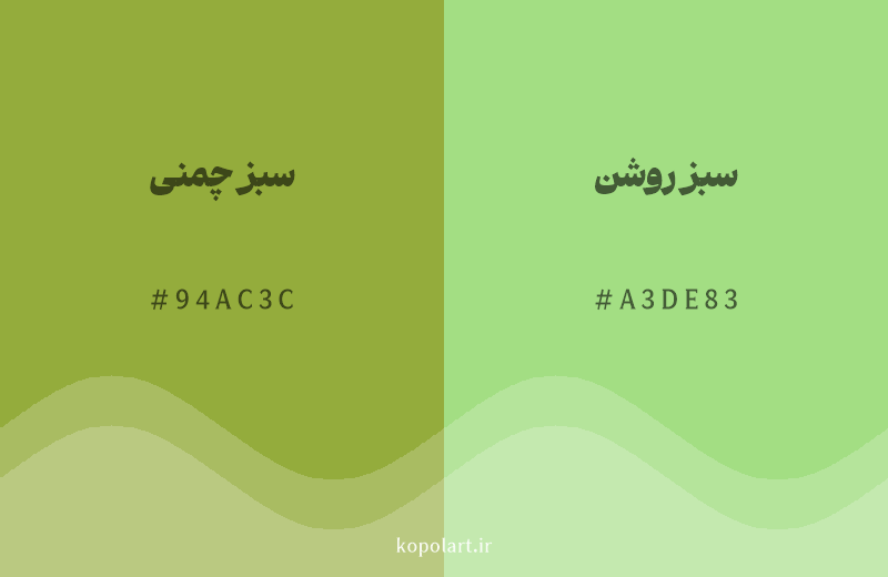 رنگ همسایه سبز چمنی با کد هگزادسیمال 94AC3C، رنگ سبز روشن با کد A3DE83