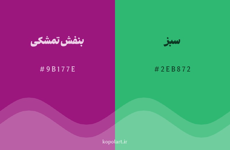 رنگ مکمل بنفش تمشکی با کد هگزادسیمال 9B177E، رنگ سبز با کد 2EB872