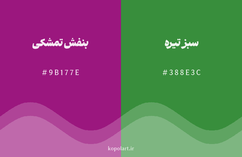 رنگ مکمل بنفش تمشکی با کد هگزادسیمال 9B177E، رنگ سبز تیره با کد 388E3C