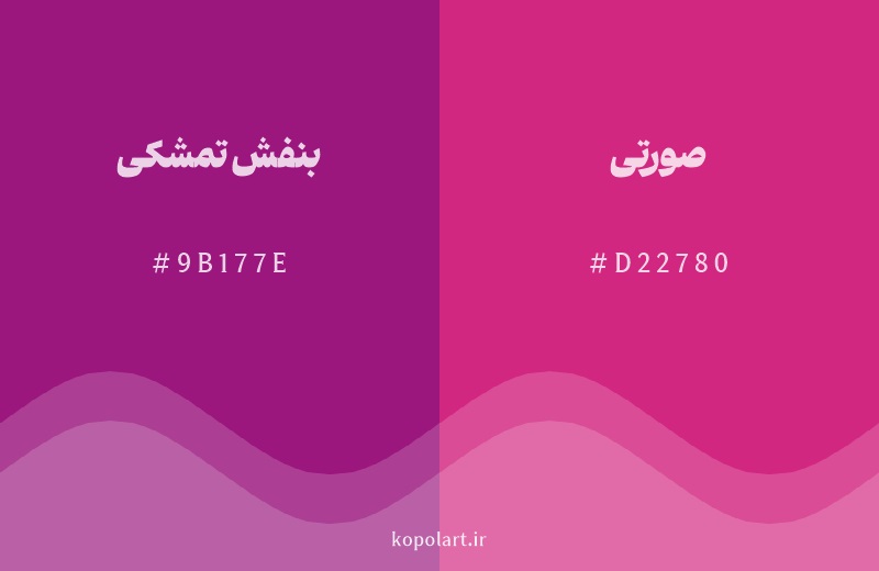 رنگ همسایه بنفش تمشکی با کد هگزادسیمال 9B177E، رنگ صورتی با کد D22780