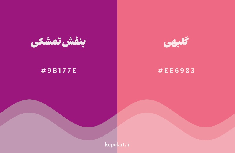 نمایش هارمونی رنگ بنفش تمشکی در کنار رنگ همسایه آن گلبهی