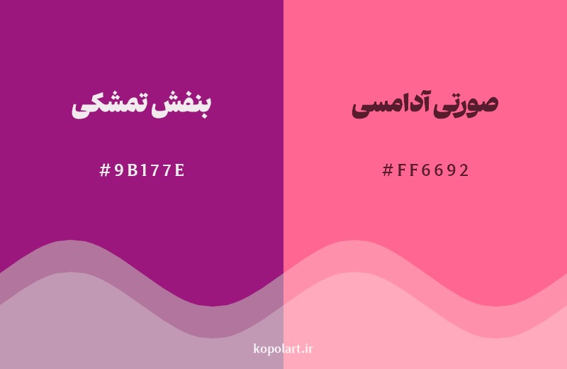 نمایش هارمونی رنگ بنفش تمشکی در کنار رنگ همسایه آن صورتی آدامسی