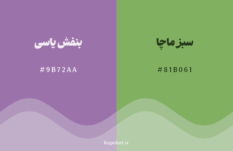 ترکیب رنگ بنفش یاسی در کنار رنگ مکمل آن سبز ماچا