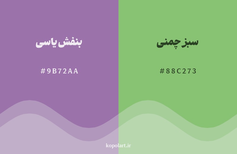 رکیب رنگ بنفش یاسی در کنار رنگ مکمل آن سبز چمنی