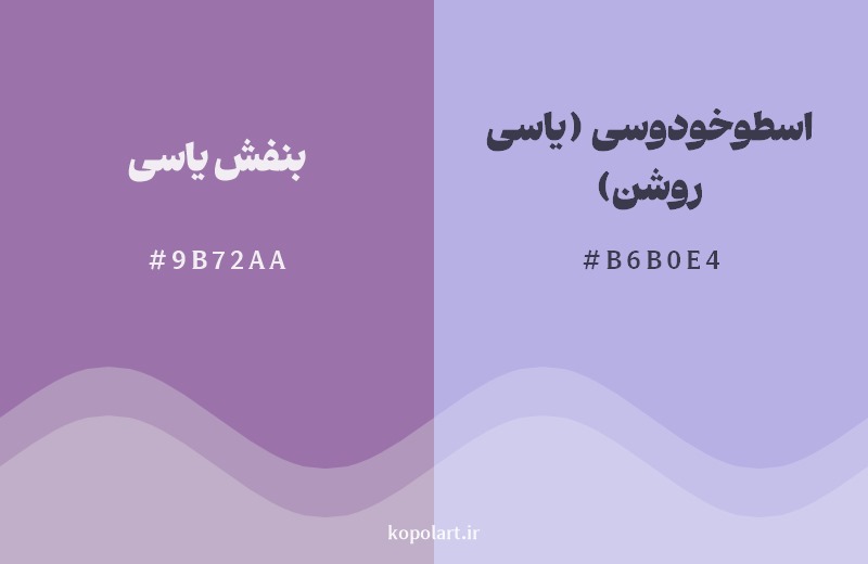 نمایش هارمونی رنگ بنفش یاسی در کنار رنگ همسایه آن اسطوخودوسی (یاسی روشن)