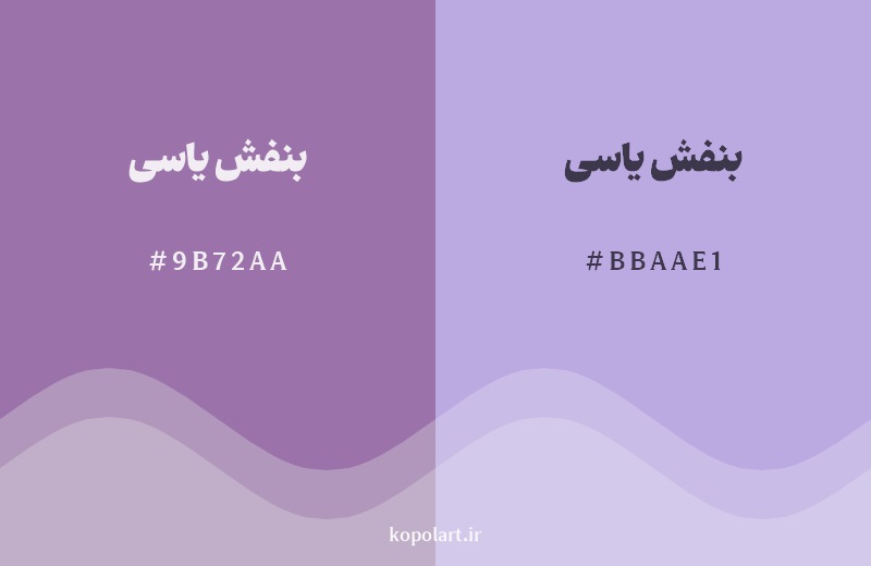 نمایش هارمونی رنگ بنفش یاسی در کنار رنگ همسایه آن بنفش یاسی