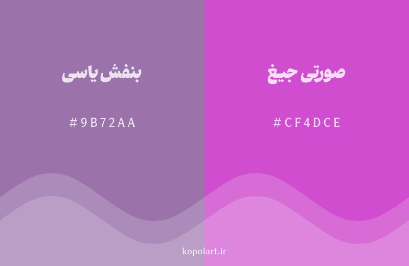 رنگ همسایه بنفش یاسی با کد هگزادسیمال 9B72AA، رنگ صورتی جیغ با کد CF4DCE