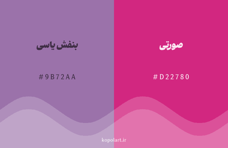 رنگ همسایه بنفش یاسی با کد هگزادسیمال 9B72AA، رنگ صورتی با کد D22780