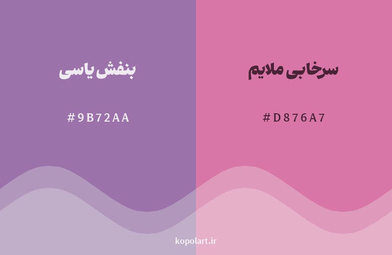 نمایش هارمونی رنگ بنفش یاسی در کنار رنگ همسایه آن سرخابی ملایم