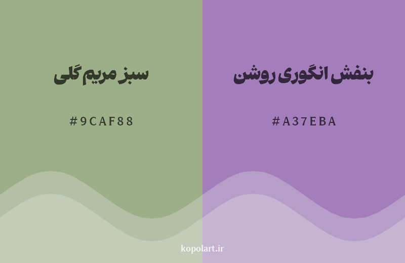 ترکیب رنگ سبز مریم گلی در کنار رنگ مکمل آن بنفش انگوری روشن