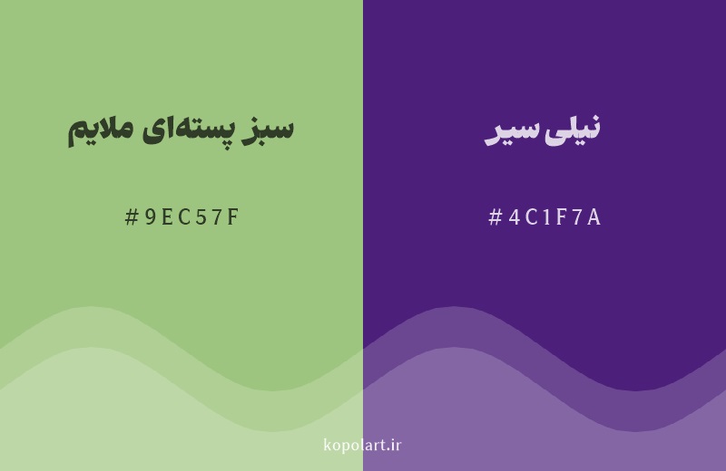 رنگ مکمل سبز پسته‌ای ملایم با کد هگزادسیمال 9EC57F، رنگ نیلی سیر با کد 4C1F7A