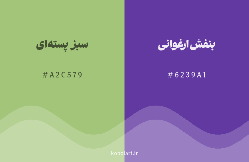 رنگ مکمل سبز پسته‌ای با کد هگزادسیمال A2C579، رنگ بنفش ارغوانی با کد 6239A1