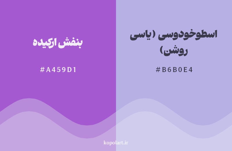 نمایش هارمونی رنگ بنفش ارکیده در کنار رنگ همسایه آن اسطوخودوسی (یاسی روشن)