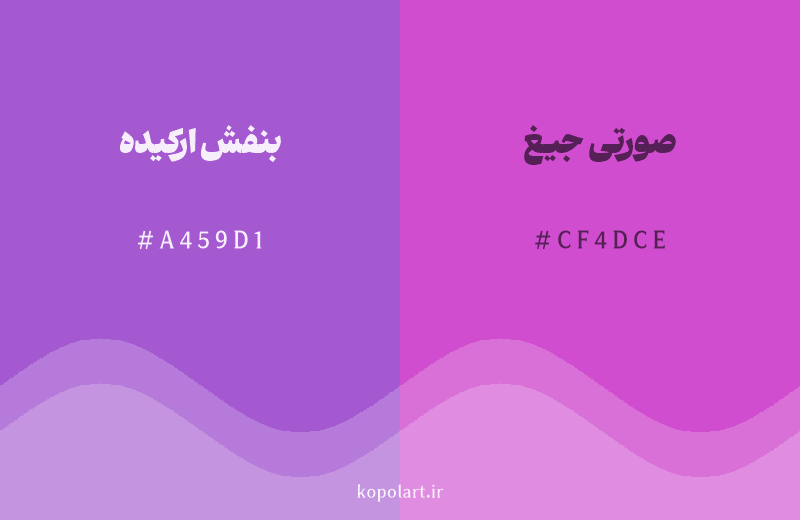 رنگ همسایه بنفش ارکیده با کد هگزادسیمال A459D1، رنگ صورتی جیغ با کد CF4DCE
