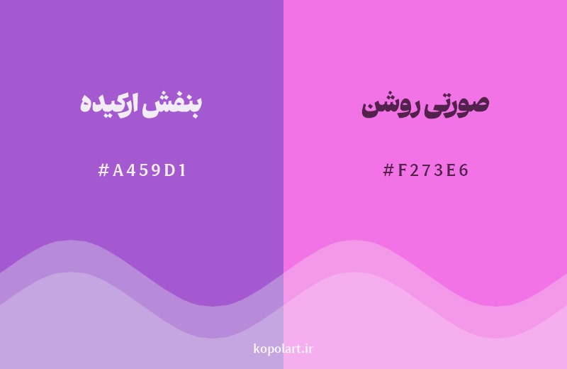 نمایش هارمونی رنگ بنفش ارکیده در کنار رنگ همسایه آن صورتی روشن