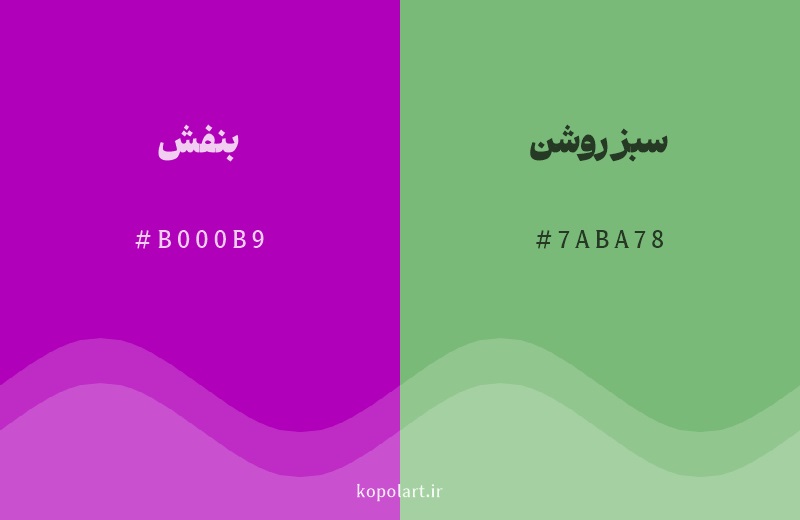 رنگ مکمل بنفش با کد هگزادسیمال B000B9، رنگ سبز روشن با کد 7ABA78