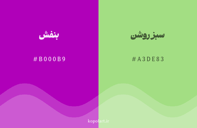 رنگ مکمل بنفش با کد هگزادسیمال B000B9، رنگ سبز روشن با کد A3DE83