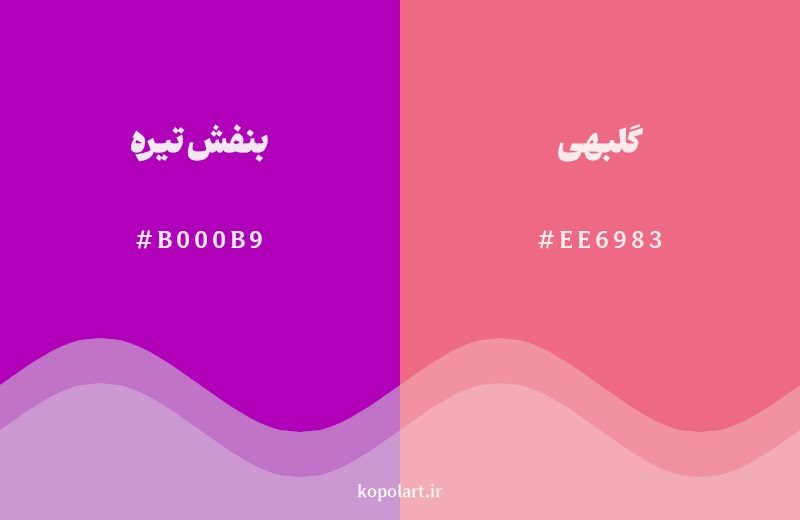 نمایش هارمونی رنگ بنفش تیره در کنار رنگ همسایه آن گلبهی