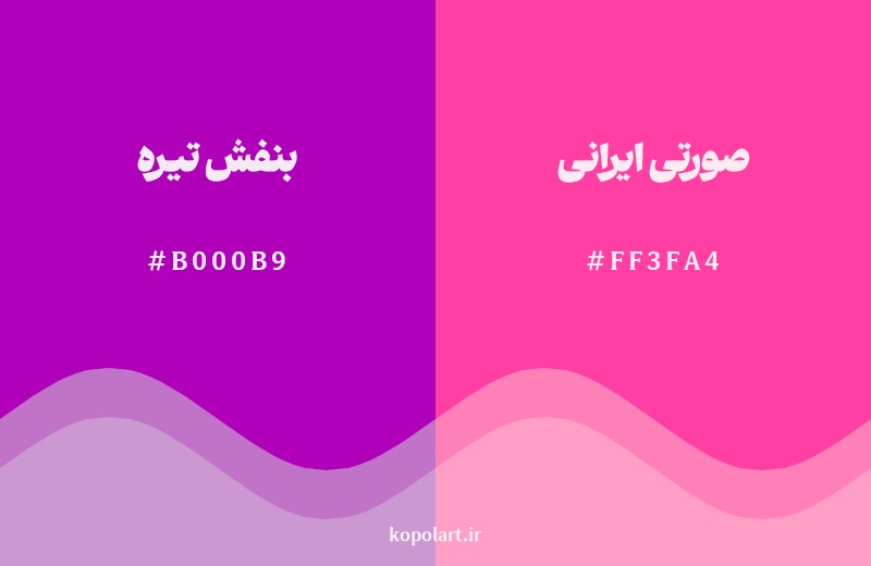 نمایش هارمونی رنگ بنفش تیره در کنار رنگ همسایه آن صورتی ایرانی