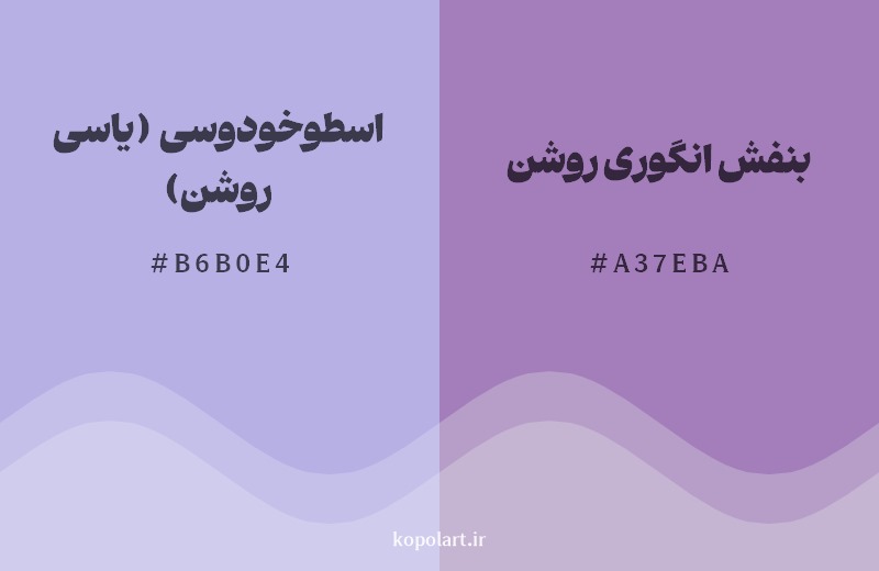 نمایش هارمونی رنگ اسطوخودوسی (یاسی روشن) در کنار رنگ همسایه آن بنفش انگوری روشن