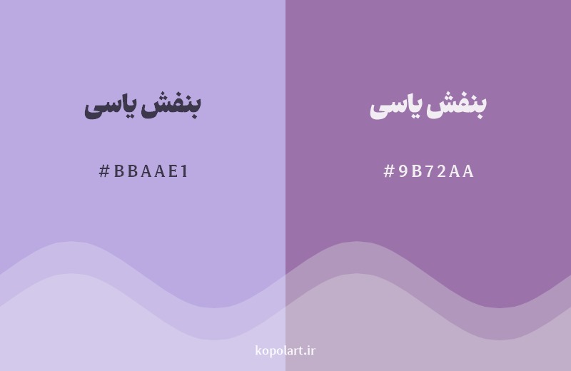 نمایش هارمونی رنگ بنفش یاسی در کنار رنگ همسایه آن بنفش یاسی