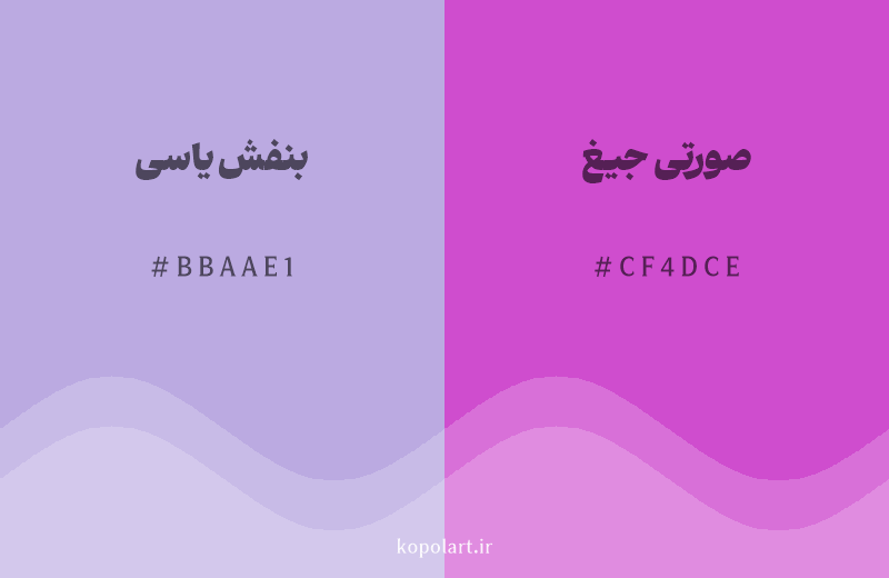رنگ همسایه بنفش یاسی با کد هگزادسیمال BBAAE1، رنگ صورتی جیغ با کد CF4DCE