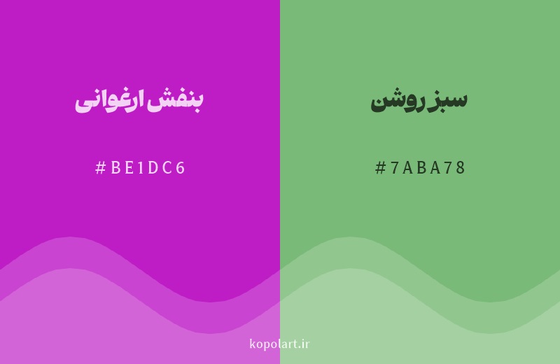 رنگ مکمل بنفش ارغوانی با کد هگزادسیمال BE1DC6، رنگ سبز روشن با کد 7ABA78