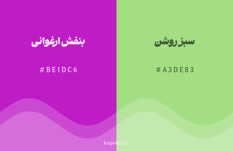 رنگ مکمل بنفش ارغوانی با کد هگزادسیمال BE1DC6، رنگ سبز روشن با کد A3DE83