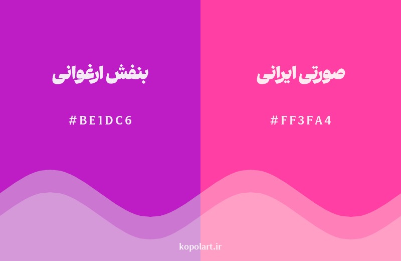 نمایش هارمونی رنگ بنفش ارغوانی در کنار رنگ همسایه آن صورتی ایرانی
