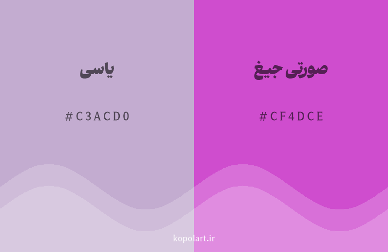 رنگ همسایه یاسی با کد هگزادسیمال C3ACD0، رنگ صورتی جیغ با کد CF4DCE