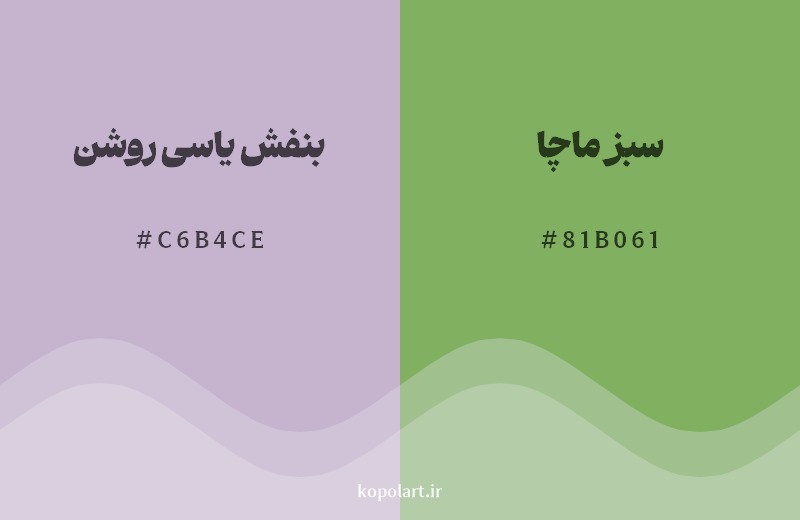 ترکیب رنگ بنفش یاسی روشن در کنار رنگ مکمل آن سبز ماچا