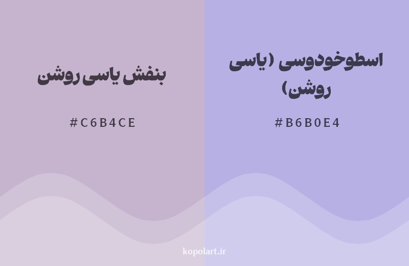 نمایش هارمونی رنگ بنفش یاسی روشن در کنار رنگ همسایه آن اسطوخودوسی (یاسی روشن)