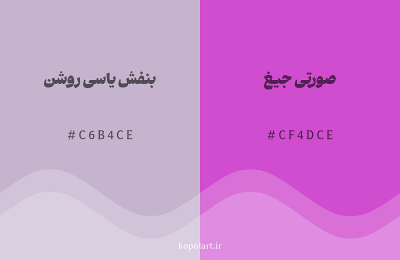 رنگ همسایه بنفش یاسی روشن با کد هگزادسیمال C6B4CE، رنگ صورتی جیغ با کد CF4DCE