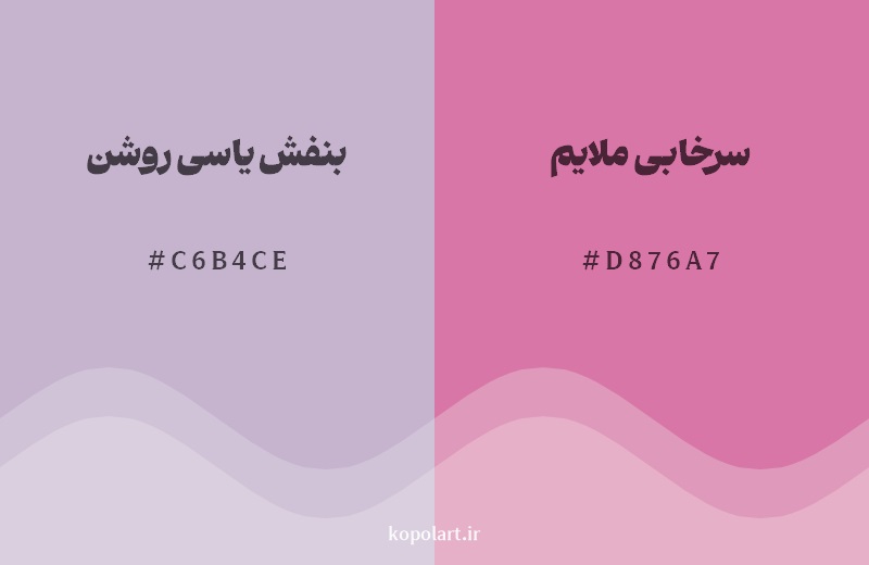 نمایش هارمونی رنگ بنفش یاسی روشن در کنار رنگ همسایه آن سرخابی ملایم
