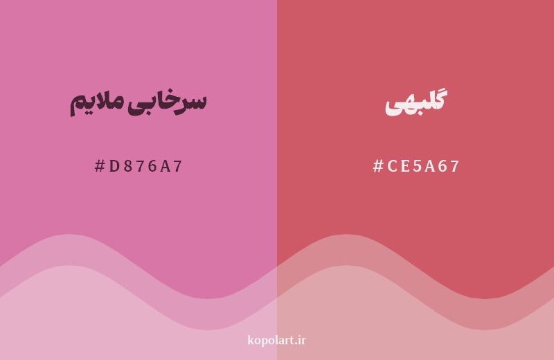 نمایش هارمونی رنگ سرخابی ملایم در کنار رنگ همسایه آن گلبهی