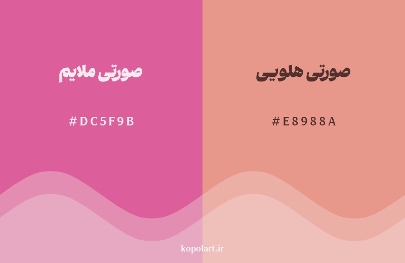 نمایش هارمونی رنگ صورتی ملایم در کنار رنگ همسایه آن صورتی هلویی