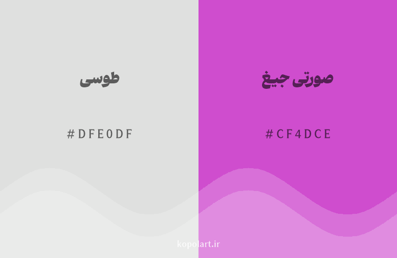رنگ مکمل طوسی با کد هگزادسیمال DFE0DF، رنگ صورتی جیغ با کد CF4DCE