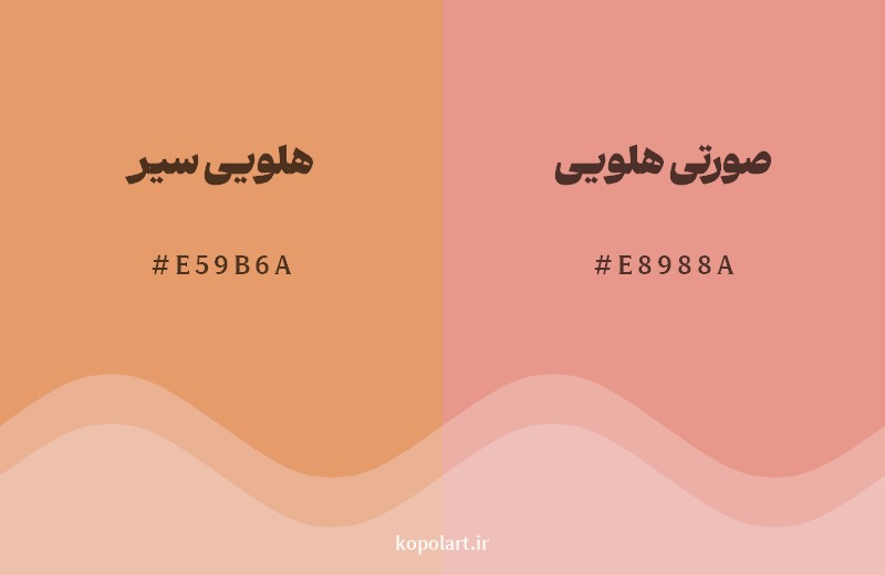 نمایش هارمونی رنگ هلویی سیر در کنار رنگ همسایه آن صورتی هلویی