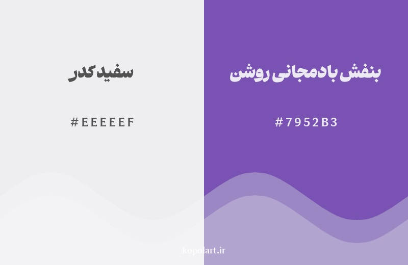 نمایش هارمونی رنگ سفید کدر در کنار رنگ همسایه آن بنفش بادمجانی روشن
