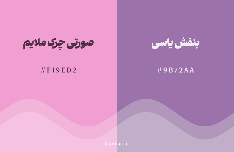 نمایش هارمونی رنگ صورتی چرک ملایم در کنار رنگ همسایه آن بنفش یاسی