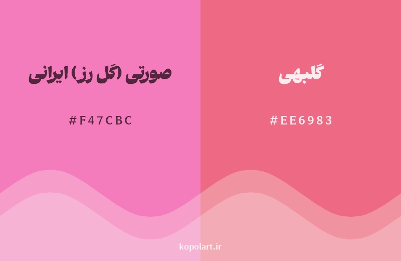 نمایش هارمونی رنگ صورتی (گل رز) ایرانی در کنار رنگ همسایه آن گلبهی