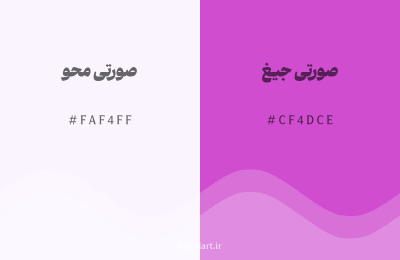 رنگ همسایه صورتی محو با کد هگزادسیمال FAF4FF، رنگ صورتی جیغ با کد CF4DCE