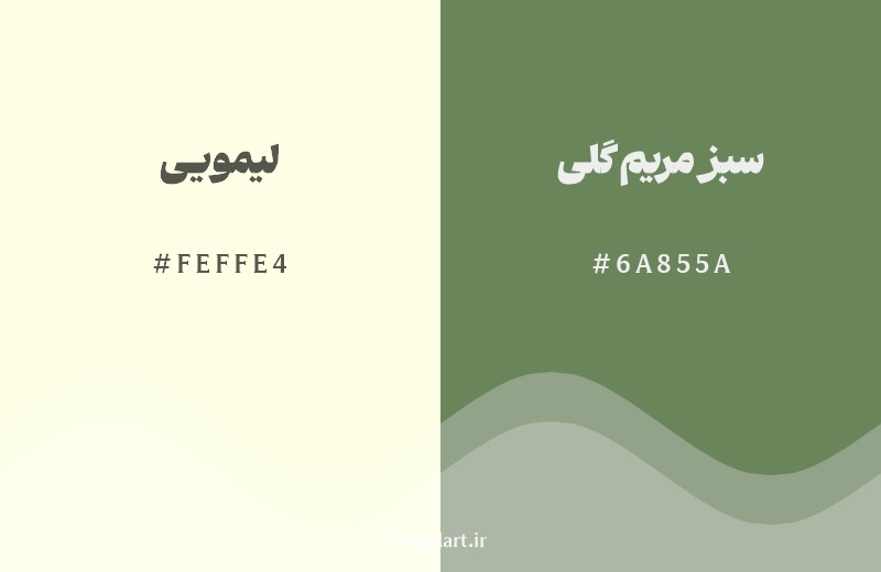 نمایش هارمونی رنگ لیمویی در کنار رنگ همسایه آن سبز مریم گلی