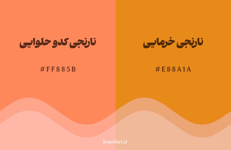 نمایش هارمونی رنگ نارنجی کدو حلوایی در کنار رنگ همسایه آن نارنجی خرمایی