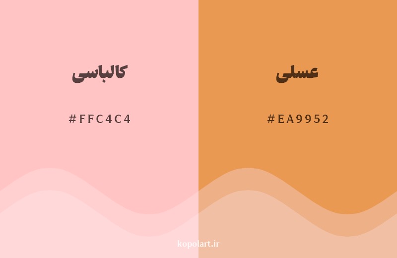 نمایش هارمونی رنگ کالباسی در کنار رنگ همسایه آن عسلی