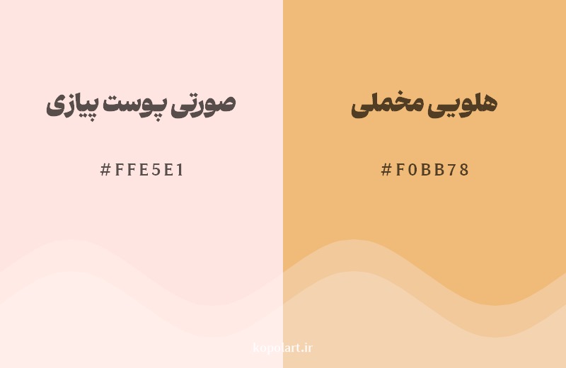 نمایش هارمونی رنگ صورتی پوست پیازی در کنار رنگ همسایه آن هلویی مخملی