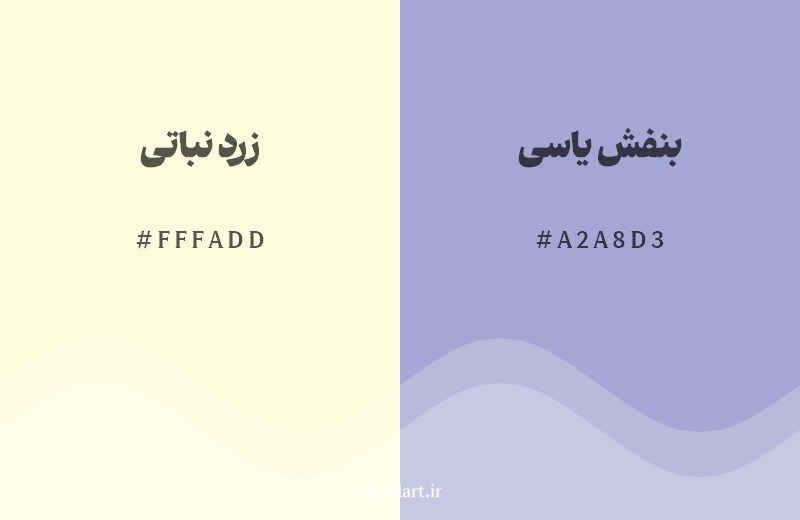 ترکیب رنگ زرد نباتی در کنار رنگ مکمل آن بنفش یاسی