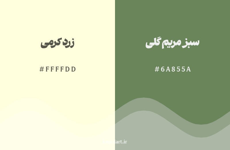 نمایش هارمونی رنگ زرد کرمی در کنار رنگ همسایه آن سبز مریم گلی