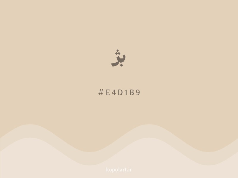 رنگ بژ با کد هگزادسیمال E4D1B9 و نام لاتین Beige Color